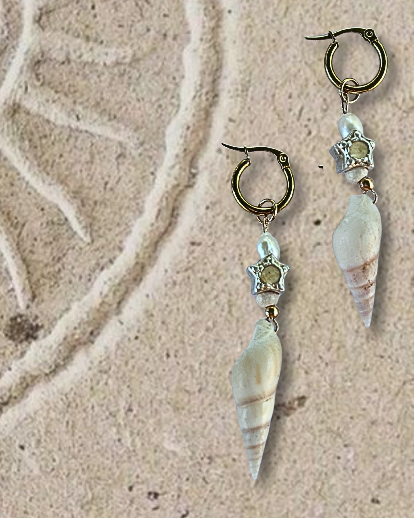 [the shells]