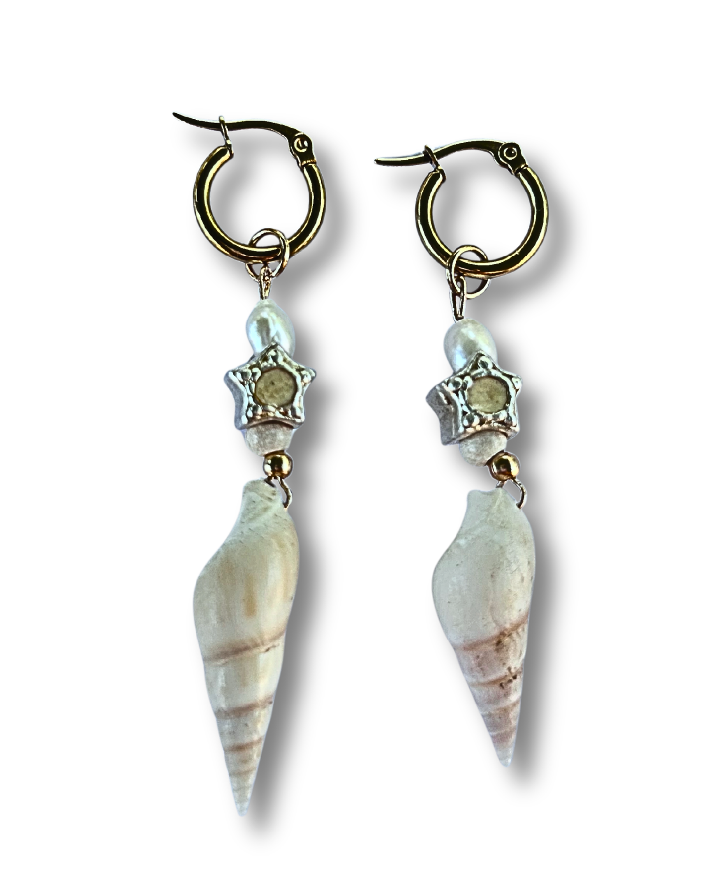 [the shells]