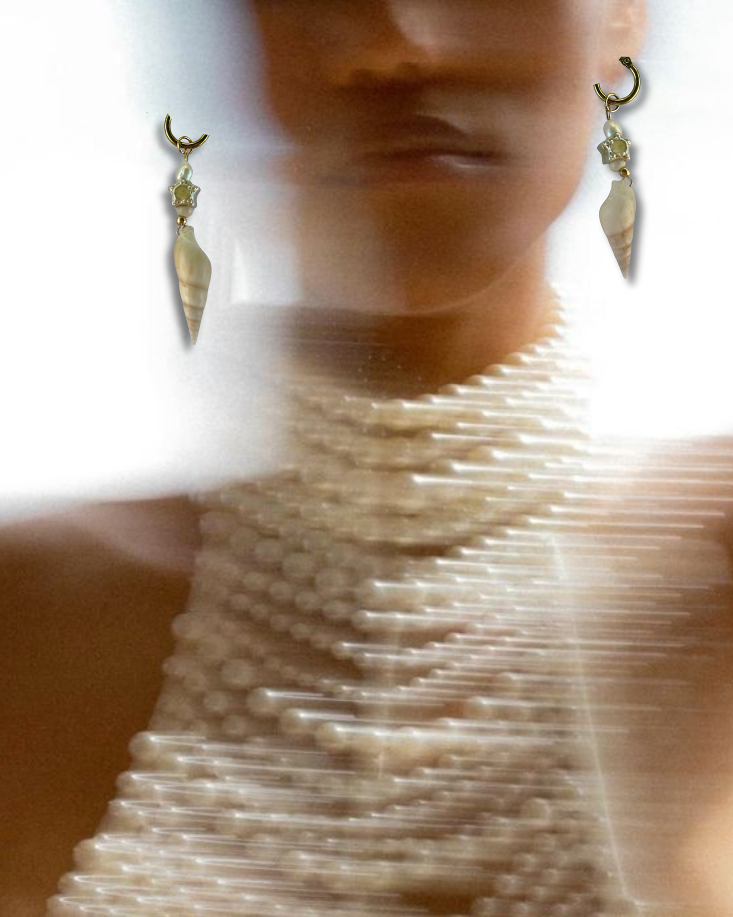 [the shells]